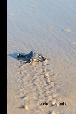 hatcher sea turtle: small lined Sea Turtle Notebook / Travel Journal to write in (6'' x 9'') 120 pages