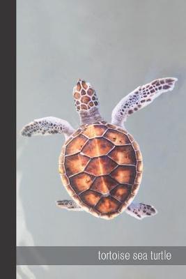 tortoise sea turtle: small lined Sea Turtle Notebook / Travel Journal to write in (6'' x 9'') 120 pages