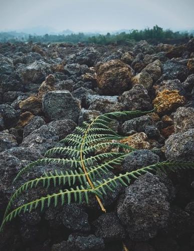 Notebook: Climate Change global warming biosphere greenhouse gas weather climatology