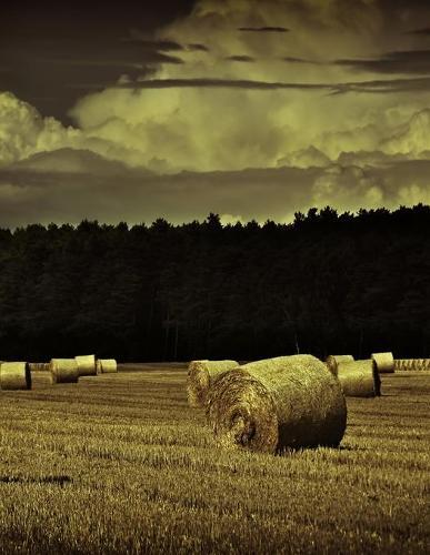 Notebook: Farm Hay Bales Straw ranch agriculture dairy livestock vineyard farmer dairy