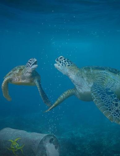 Notebook: turtle conservation preservation protection endangered 8.5  x 11  150 Ruled Pages