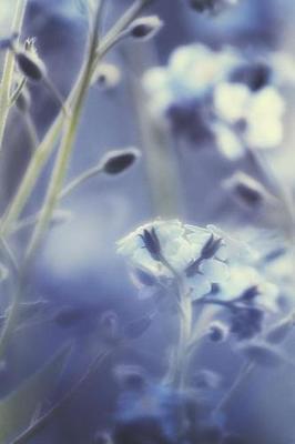 Blue Dreams: Forget-Me-Not Journal, Notebook, or Diary - Blank Lined, 6 X 9 Inches, 150 Pages