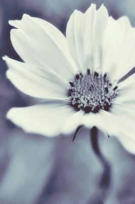 Night Bloom: Journal, Notebook, or Diary - Blank Lined, 6 X 9 Inches, 150 Pages