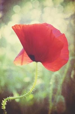 Dancing Poppy: Journal, Notebook, or Diary - Blank Lined, 6 X 9 Inches, 150 Pages