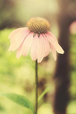 Coneflower Dreams: Journal, Notebook, or Diary - Blank Lined, 6 X 9 Inches, 150 Pages