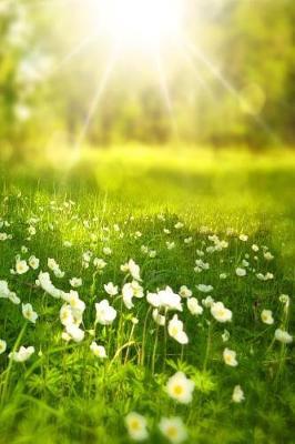 Spring: Spring Is One of the Four Conventional Temperate Seasons, Following Winter and Preceding Summer. There Are Various Technical Definitions of Spring, But Local Usage of the Term Varies According to Local Climate, Cultures and Customs.