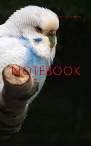 Notebook: budgie blue plumage parakeet parrot seed bird birds bill beak budgies parrots parakeets