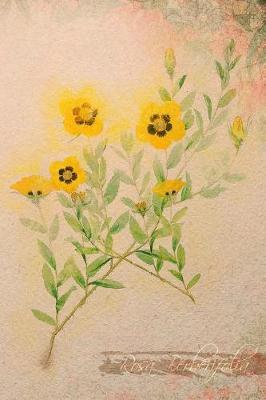 Rosa Berberifolia: Floral Notebook with Flower Illustrations on Every Page