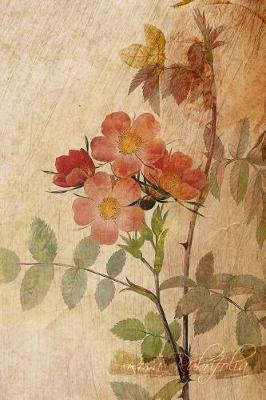 Rosa Rubrifolia: Floral Notebook with Flower Illustrations on Every Page