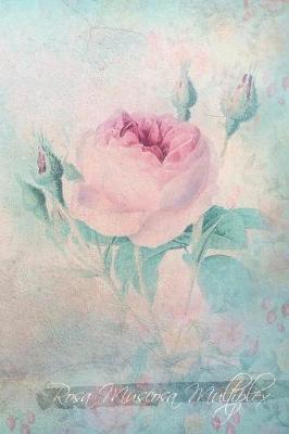 Rosa Muscosa Multiplex: Floral Notebook with Flower Illustrations on Every Page