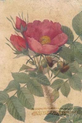 Rosa Kamtschatica: Floral Notebook with Flower Illustrations on Every Page