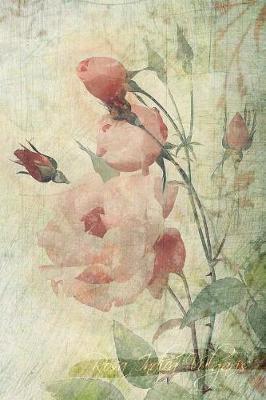 Rosa Indica Vulgaris: Floral Notebook with Flower Illustrations on Every Page