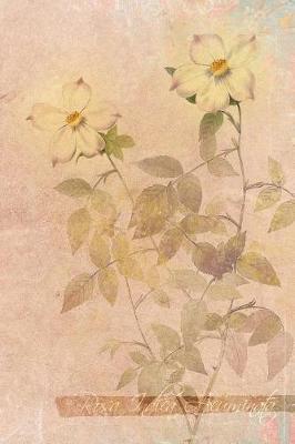 Rosa Indica Acuminata: Floral Notebook with Flower Illustrations on Every Page