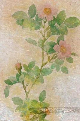 Rosa Montezuma: Floral Notebook with Flower Illustrations on Every Page