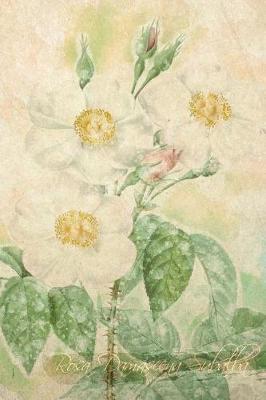 Rosa Damascena Subalba: Floral Notebook with Flower Illustrations on Every Page