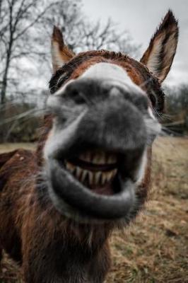 Donkey Dot Grid Journal: A Cute Blank Dotted Book: Beautiful Donkey Bulleted Notebook for Journaling, Writing, Sketching: Sweet Donkey Cover Design