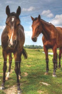 Mares in the Field Daily Journal: A Portable Diary