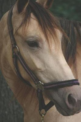 Horseback Rider Journal: For Horse Lovers