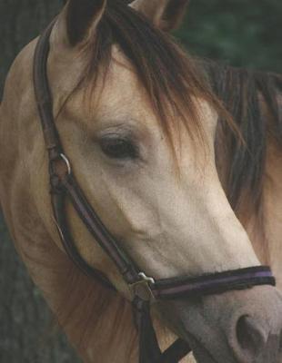 Horseback Rider College Ruled Composition Notebook: For High School or College Students