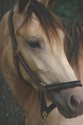 Horseback Rider Cannabis Strain Review Journal: For Horse Loving Marijuana Users & Medical Patients