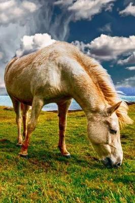 Horse: Cool Personalised Travel Journal Diary Planner, Cute and Unique Travel Journals Composition Notebook (Colorful Cover, Blank, 110 Pages, 6 X 9) (Travel Journals)