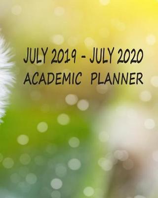 July 2019 - July 2020 Academic Planner: Daily Weekly Monthly Calendar Planner for to Do List Planners and Academic Schedule Agenda Logbook & Organizer Journal Notebook July 2019 - July 2020