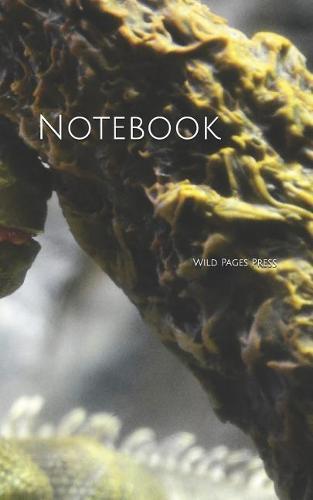 Notebook: Lizard iguana reptile