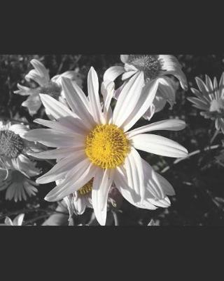 Schizo Since Birth: a Memoir of a Youth with Schizophrenia