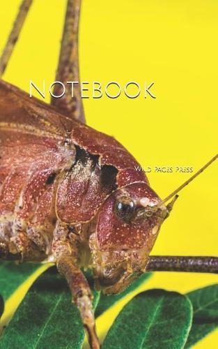 Notebook: Grasshopper insect jumping jump insects bugs
