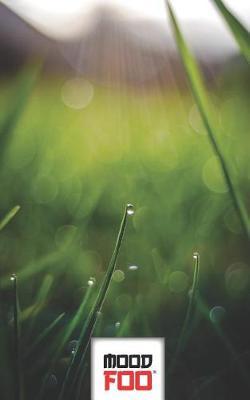 Mood Foo(tm) - Mind Over Mood - Notebook, Log, Journal - Beauty Series - 010