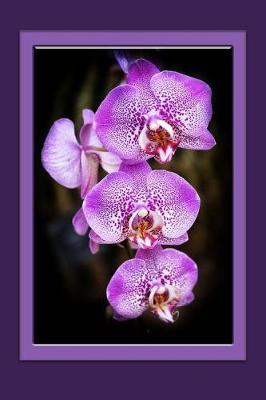 Orchids Notebook: Flower Notebook, Journal, Giftbook