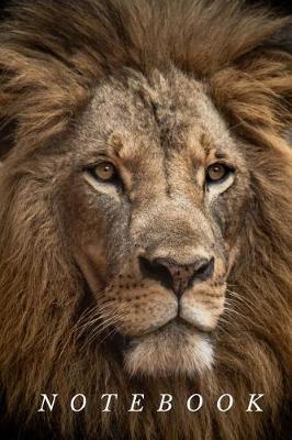 Notebook: Lion Notebook (Diary, Journal) - 100 lined pages