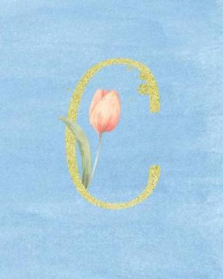 C: Academic Student Planner Weekly Monthly Planner August 2019 July 2020, Organizer Calendar and Agendas for High School Especially for Girls Blue Sky Watercolor Flower