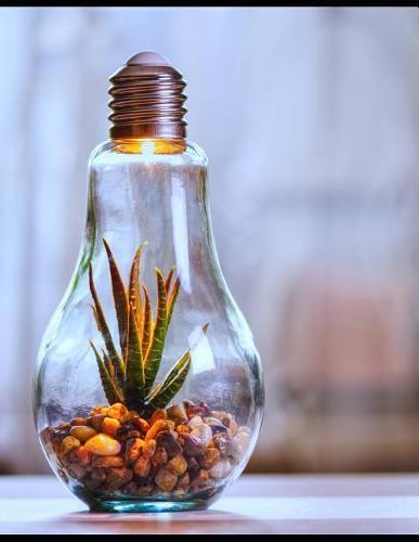 Notebook: Environmental protection nature light bulb bulbs lights lighting fitting room bed home house