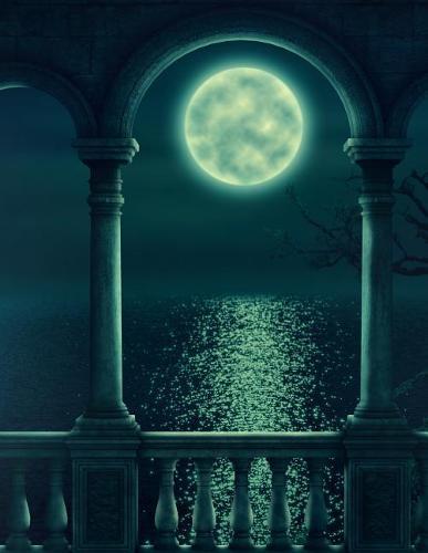 Notebook: Fantasy balcony moon romantic tree moonlight romance romantic love loving night evening