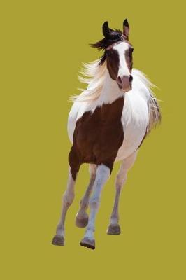Horse Journal: Journal for horses lovers. funny notebook with lined pages for writing and journaling