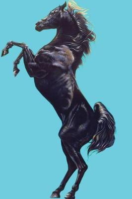 Horse Journal: Journal for horses fans. funny notebook with lined pages for writing and journaling