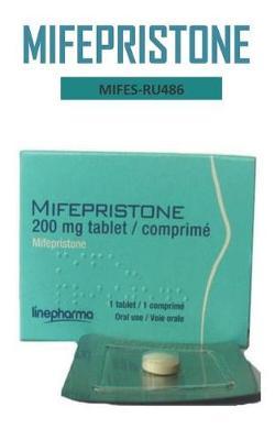 Mifes-Ru486: The Active Treatment for counteracting STOMACH ULCERS and END a PRENANCY Super Guide