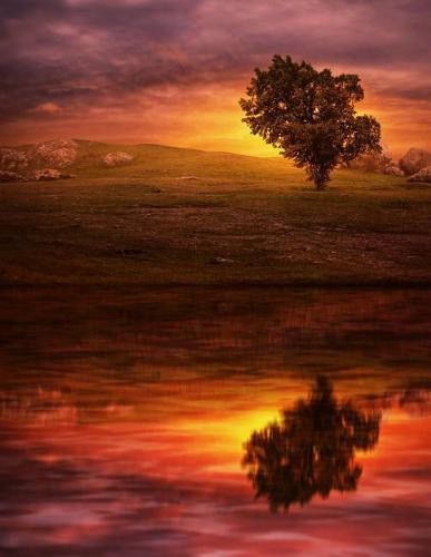 Notebook: Sunset tree lake reflection sunrise sky wave beautiful scene scenery rocks rock landscape