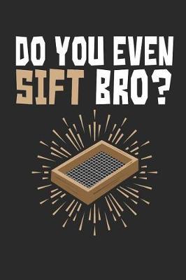 Do You Even Sift Bro?: Archaeology Field Journal, Blank Paperback Lined Notebook For Archaeologist Or Student, Graduation Gift