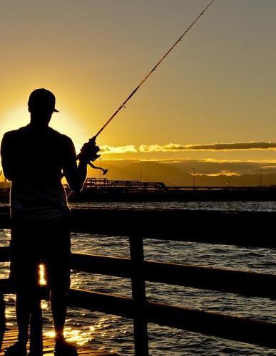 Notebook: Fishing man water fisherman holidays people shark tuna salmon bony fish trout eel