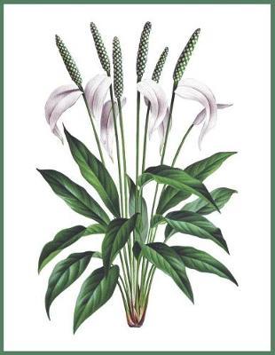 Notebook Peace Lily: Blank journal. 150 pages, Soft cover, A4+ (21.59 x 27.94 cm) 8,5 x 11 inch