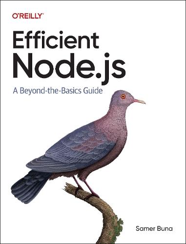 Efficient Node.js: A Beyond The Basics Guide