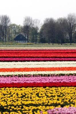 Colorful Field of Tulips in the Netherlands Journal: 150 Page Lined Notebook/Diary