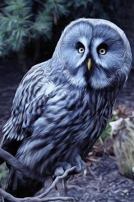 Who's There? Owl at Night Journal: 150 Page Lined Notebook/Diary