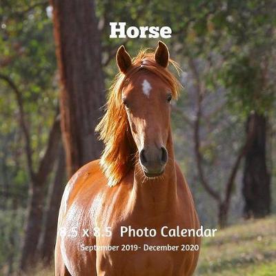 Horses 8.5 X 8.5 Calendar September 2019 -December 2020: Monthly Calendar with U.S./UK/ Canadian/Christian/Jewish/Muslim Holidays-Horses Animal Nature