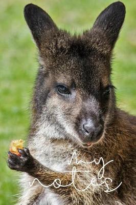 My Notes: Lined Pages Journal / Notebook