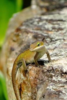 Lime Lizard Pretty Blank Lined Journal for daily thoughts notebook Lovely Lake Arrowhead Photograph