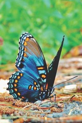 Blue Butterfly Pretty Blank Lined Journal for daily thoughts notebook Lovely Lake Arrowhead Photograph