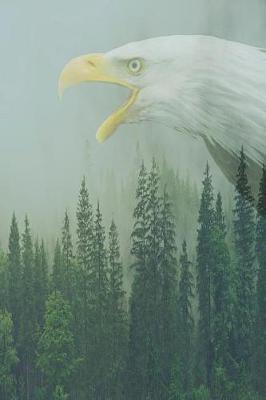 Bald Eagle journal: Blank lined journal for outdoor enthusiast